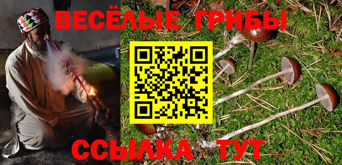 Касимов  Галлюциногенные грибы мухоморы  Псилоцибиновые грибы GOLDEN TEACHER  Вход с VPN 